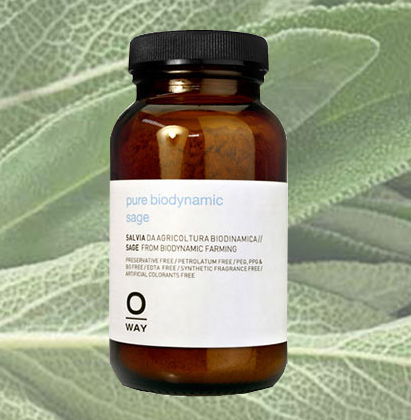 Bột dưỡng tóc Oway Pure Biodynamic Sage – 50g tái cân bằng da đầu cho tóc nặng, bết và da đầu dầu